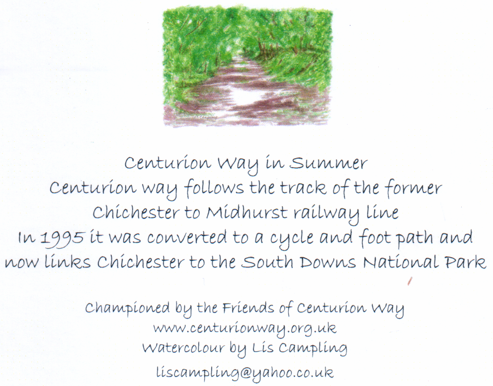 Centurion Way in Summer by Lis Campling (back of card)
